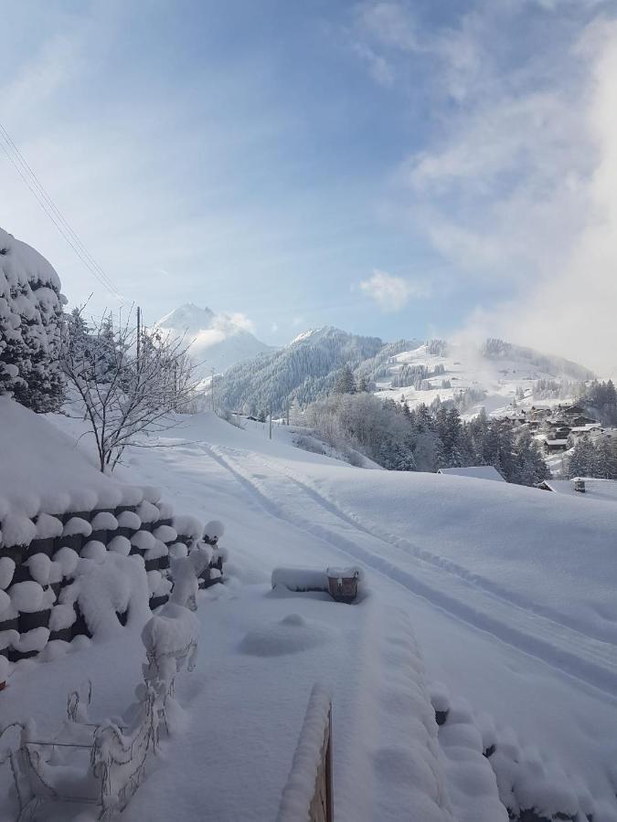 Chalet Grueneggli アデルボーデン エクステリア 写真